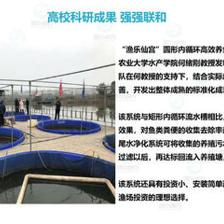 智慧農(nóng)研引領(lǐng)未來 重慶工廠化高密度養(yǎng)魚的創(chuàng)新實(shí)踐