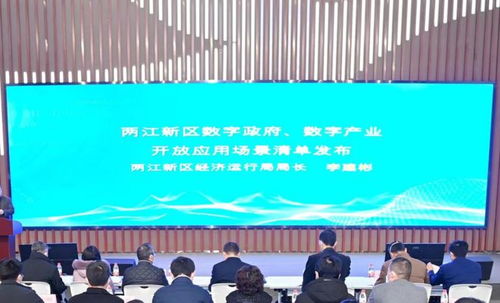 廣域銘島榮登重慶兩江新區(qū)軟件和信息服務(wù)業(yè)企業(yè)能力清單，彰顯區(qū)域信息咨詢新動能