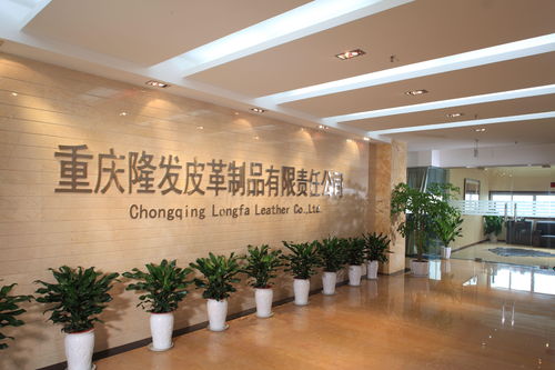 重慶隆發(fā)皮革制品有限責任公司的信息咨詢服務(wù)研究